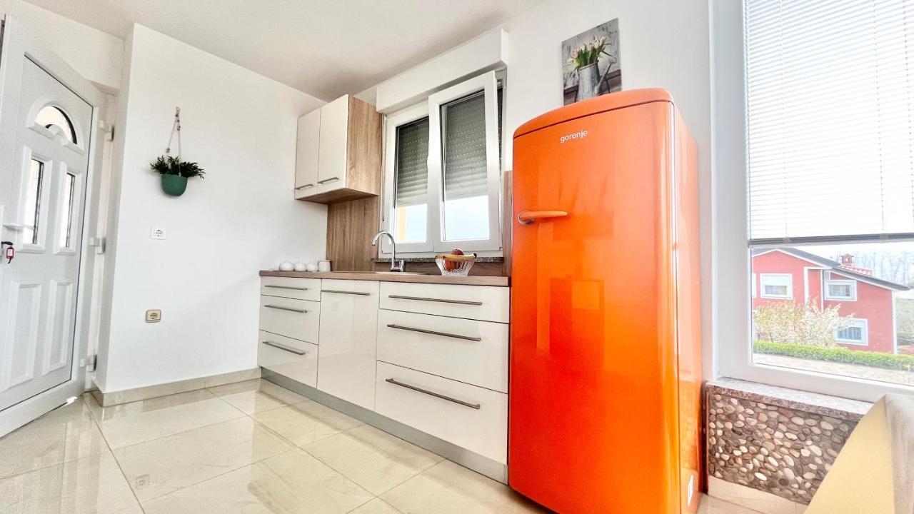 Apartments Vukancic Novigrad  Exterior photo